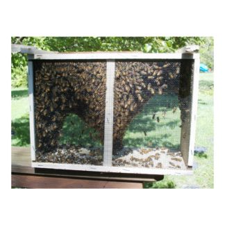 Package Bees