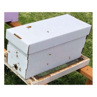 Nucs