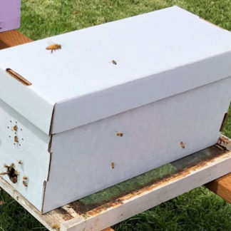 Bees